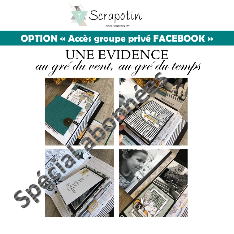 OPTION accs groupe FACEBOOK